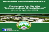 Inhalt - bssb.de · 2 SPORTLICHE REGELWERKE DES BSSB Bayerischer Sportschützenbund e.V. Ingolstädter Landstraße 110 85748 Garching-Hochbrück Telefon: (089) 316949-0 Fax: (089)