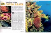 2006 07 Mittelmeer-Special Karten - Stollis Tauchbasis · 2018-10-21 · pe führt zu den Topspots im Süden er Name trügt: „Costa Brava" könnte man laienhaft mit „brave KUste"