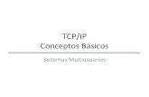 TCP/IP Conceptos Básicos - Hosting Miarroba de... · TCP/IP – IEEE 802 • Coexisten ambas pilas de protocolos • TCP/IP trata desde la capa 3 a la 7 de OSI. • IEEE 802 trata