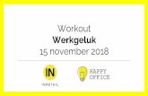 Workout - inretail.nl · op zijn werk 27% Bron: Steda Research januari 2017 (400 nld bedrijven) ... Positieve emoties Negatieve emoties Plezier, rust, hoop, dankbaarheid, belangstelling,