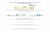 Mémoire de Master Recherche en Informatiquenocremetz.free.fr/DEA/Memoire/RapportLatex.pdf · 2007-06-06 · Mémoire de Master Recherche en Informatique MODÉLISATION DES MÉCANISMES