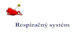 RESPIRATORY SYSTEM - introduction...Klinické pojmy charakterizujúce dýchanie Eupnoe - normálne dýchanie - f (12-16/min, V T:500ml) zmena dych. frekvencie - bradypnoe, tachypnoe