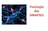Fisiologia( das SINAPSES( · 2017-08-17 · Fisiologia(das SINAPSES(Sherrington (1857–1952) “contiguity and not continuity ...