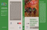 RESISTENCIA Y PROTESTA SOCIAL EN EL SURESTE DE MÉXICO · 2017-05-12 · capÍtulo ii participaciÓn polÍtica y resistencia de los tepehuas para el reconocimiento de sus derechos