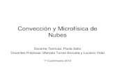 Convección y Microfísica de Nubesconveccion.at.fcen.uba.ar/teoricas/clase_1_2010.pdf · 2010-03-09 · Paola Salio – CyM - 2010 Libros de Consulta Microfísica: A short course
