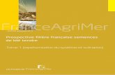 Prospective filière française semences de blé tendre 2013... · 2/ Prospective semences de blé tendre > FranceAgriMer GNIS 2013 / TOME 1 Préface 1 Sommaire 2 INTRODUCTION 5 Première