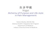 生き甲斐 Ikigai - American College of Physicians · Ikigai Alchemy of Purpose and Life‐style in Pain Management ... •Chiropractic** •Heat, TENS, Ice •Pacing Activity •Purpose