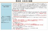 熊本県玉名市の課題 - 地域IoT官民ネット（LINCS） · 2019-07-29 · 熊本県玉名市は、熊本県の北西部にあたり、人口約. 67,000: 人、面積約152k㎡の都市である。特産物としては、