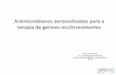 Antimicrobianos aerossolizados para a terapia de germes ...€¦ · et al. •aerosolized gentamicin, vancomycin, or both (depending on sputum Gram stain) in patients with ventilator-associated