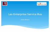 Les Enterprise Service Bus - IGMigm.univ-mlv.fr/~dr/XPOSE2010/Les_Enterprise... · * Principes de la SOA * Principe d’un ESB * Fonctionnement interne d’un ESB * L’intégration