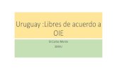 Uruguay :Libres de acuerdo a OIE...Fiebre Aftosa Aphtovirus 22/5/2003 Peste Porcina Clásica Pestivirus 28/5/2019 Perineumonía Contagiosa Bovina Mycoplasma mycoides 28/5/2019 Peste