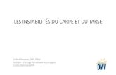 INSTABILITéS CARPE TARSE - Centres DMVcentredmv.com/wp-content/uploads/2013/12/Carpe-tarse.pdf · 2019-06-20 · LES INSTABILITÉS DU CARPE ET DU TARSE. Jérôme Benamou, DMV, IPSAV