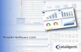 Projekt-Software Cat4 · Status Reporting (project status, portfolio management / sales funnel, P&L / Cashflow, Risk Management) Administration (data history, filter, reporting, user