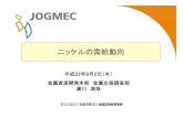 ニッケルの需給動向 - JOGMEC金属資源情報mric.jogmec.go.jp/kouenkai_index/2010/briefing_100902_4.pdf0 ニッケルの需給動向 平成平成22年 9月 2日 （木 ）