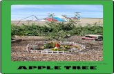 Photo courtesy of: Margaret Carsley Apple Treechelseacommunitygarden.weebly.com/uploads/2/3/7/5/...שיחי פטל (Hebrew) RaspbeRRy bushes Design and layout created by Chelsea High