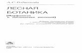 ЛЕСНАЯ БОТАНИКА · 2013-05-24 · массы на суше, полученные в СССР (Родин, Базилевич, 1965). В тундре запасы растительной