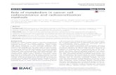Role of metabolism in cancer cell radioresistance and ... › content › pdf › 10.1186 › s13046-018-0758-… · Role of metabolism in cancer cell radioresistance and radiosensitization