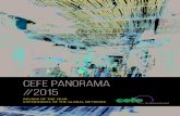 CEFE PANORAMA //2015 · // JULY / AUG 2015 INDIA ‘Indinnovation’ is our title for supporting the GIZ Programme on Modernization and Innovation of the “Mittelstand” in India