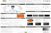 M ethodes variationnelles pour la segmentation d’images m edicales - Olivia …olivia.miraucourt.pagesperso-orange.fr/poster_2015.pdf · 2015-03-23 · M ethodes variationnelles