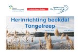 Herinrichting beekdal Tongelreep 1 oktober 2019 · Achelse Kluis (traject 1& 2) Bruggerhuizen (traject 3) Zeelberg (traject 4) Leenderweg Noord (traject 5) Title: Presentatie TongelreepDEF