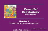 Essential Cell BiologyFigure 4-5 Essential Cell Biology, 3rd ed. (© Garland Science 2010) 124p.(水分子と水素結合) Proteins fold into a conformation of lowest energy Figure