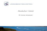 Akvakultur i Island - industry.fo › Admin › Public › Download.aspx?file=Files › Filer › H… · Færeyjar Ísafjörður. Laks i Vestfjordene – Årgang 2011 Kan lage 6
