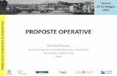 Verona 20-21 Maggio 2019 IDROMETRIA PROPOSTE OPERATIVE · •Hydrological forecasting, seasonal hydrological prediction and related functionalities (e.g. forecast verification); •Research,