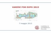 VARESE FOR EXPO 2015 · Expo 2015 S.p.A. α2-Costi gestione Expo 2015 α3-Inv. Paesi partecipanti β1-Effetti indiretti /indotti Investimenti Expo 2015 β2-Effetti indiretti /indotti