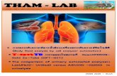 THAM - LAB 14.pdf · THAM - LAB ฉบ บท 1 ป ท 6 เด อน มกราคม 2562 โรงพยาบาลธรรมศาสตร เฉล มพระเก