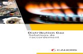 Distribution Gaz Solutions de raccordement · 2017-07-25 · nouveaux compteurs communicants GAZPAR ... Patte support compteur Gaz pour coffret 253.120 85.00.660 0925.607 Axe haut
