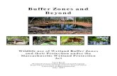 Wetland Buffer Zones and Beyond - UMass Amherst · 2013-02-07 · Wetland Buffer Zones and Beyond 1 ABSTRACT Massachusetts wetland regulations do not provide adequate protection to