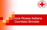 Croce Rossa Italiana Comitato Brindisi...Introduzione al Primo Soccorso È il soccorso sanitario qualificato svolto da personale specializzato (medici,infermieri, soccorritori volontari),