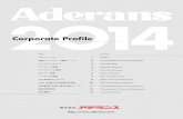 Corporate Profile - Aderans › corporate › english › company › img › ... · 2016-02-23 · cal and surgical hair loss solutions for men and women, and the newly acquired