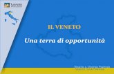 IL VENETO - unive.it · 581 Comuni 7 Province Rovigo Padova Venezia Verona Vicenza Belluno Treviso . ... VENETO: EXPORT 2008 ... VENETO PROMOZIONE Veneto Promozione, compartecipata
