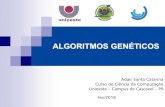Slides 02 - Algoritmos Geneticosadair/MOA/Notas de Aula/Slides 02 - Algoritmo… · Algoritmos Genéticos são algoritmos heurísticos de busca, que utilizam regras baseadas numa