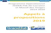 Appels à propositions 2019europe-en-lorraine.eu/wp-content/uploads/2019/07/PO... · 2019-07-09 · Programme Opérationnel FEDER-FSE-IEJ Lorraine et Massif des Vosges 2014-2020 Appels