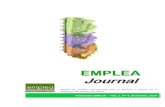 EMPLEA Journalfundacionemplea.org/wp-content/uploads/2016/...4-1.pdf · de empleo con apoyo. Nuestra pretensión es que los profesionales (preparadores laborales, técnicos de inserción,