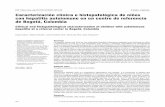 Caracterización clínica e histopatológica de niños con ... · normas descritas por el Grupo Internacional de Hepatitis Autoinmunes, publicadas en 1993 y revisadas en 1999 (14,