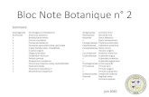 Bloc Note Botanique n° 1 · 2020-06-28 · Bloc Note Botanique n° 2 Asparagaceae Ornithogalum orthophyllum Asteraceae Asteriscus aquaticus « Bombycilaena erecta « Carlina corymbosa