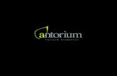 Antorium im Hizmetleriantorium.com.tr/wp-content/uploads/2016/10/...Antorium !leti"im Hizmetleri Antorium !leti"im Hizmetleri, etkinlik yönetimine yeni bir bakı" açısı getirmek