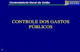 CONTROLE DOS GASTOS PÚBLICOS - Paraná€¦ · Controladoria-Geral da União 3 A filosofia da Controladoria assenta-se nos seguintes pontos: Compromisso com a ética e a total transparência