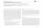 Transcriptome profile of the human placenta · 2017-08-28 · Transcriptome profile of the human placenta Marta Majewska1 & Aleksandra Lipka2 & Lukasz Paukszto 3 & Jan Pawel Jastrzebski3