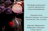 Patologia pulmonară cronică obstrucitvă · Tema: Patologia pulmonară cronicăobstrucitvă.Cancerul pulmonar. I. Micropraparate: №211. Bronşita cronică. (colorație H-E). Indicaţii: