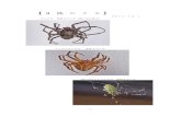 3匹のクモ - さくらのレンタルサーバikano.sakura.ne.jp/cgi/50_omoide/img/1048_1.pdf · - 1 - 【3匹のクモ】 2017．10．1 オニグモ体長2センチ（除く足の長さ）