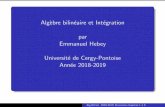 Alg ebre bilin eaire et Int egration par Emmanuel Hebey ... · Ann ee 2018-2019 3 janvier 2019 Alg.Bil.Int. 2018-2019. Exercices chapitres 1 a 5. Exercice 1 : Soient E un R-espace