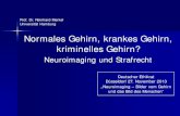 Normales Gehirn, krankes Gehirn, kriminelles Gehirn ... › fileadmin › PDF-Dateien › Veranstaltungen › … · Neuroimaging und Strafrecht Prof. Dr. Reinhard Merkel Universität