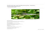 Verbreitung und Gefährdung der Libellen Schleswig …...1 Libellen Schleswig-Holsteins – Arbeitsatlas 2009 – 1 Zielsetzung In Schleswig-Holstein wurde die letzte landesweite Übersicht