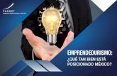 EMPRENDEDURISMO - fundef.mx€¦ · emprendedurismo y creación de empresas de menor tamaño. FUNDEF / 7 HIPÓTESIS SOBRE LA RELACIÓN ENTRE CRECIMIENTO Y PRODUCTIVIDAD II. FUNDEF