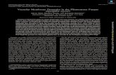 Vacuolar Membrane Dynamics in the Filamentous Fungus ... · Vacuolar Membrane Dynamics in the Filamentous Fungus Aspergillus oryzae† Jun-ya Shoji, Manabu Arioka, and Katsuhiko Kitamoto*