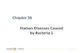 Chapter 38 Human Diseases Caused by Bacteria 1 › down_before › 2014 › 201417162916 › ... · 2014-01-07 · Human Diseases Caused ... environmental reservoir to human host